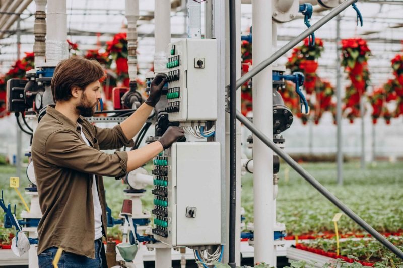 man-florist-working-green-house-1-scaled.jpg